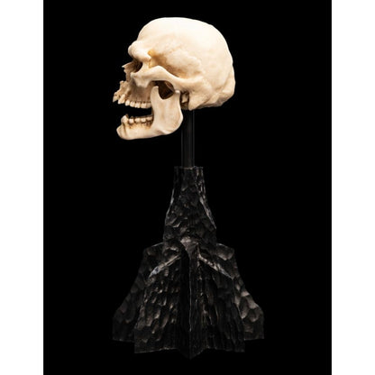 Weta The Lord of the Rings Skull of a Mordor Orc Miniature