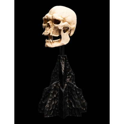 Weta The Lord of the Rings Skull of a Mordor Orc Miniature