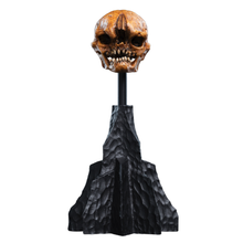 Weta The Hobbit Skull of a Misty Mountain Goblin Miniature