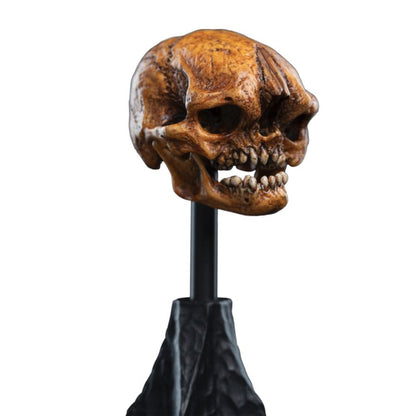Weta The Hobbit Skull of a Misty Mountain Goblin Miniature