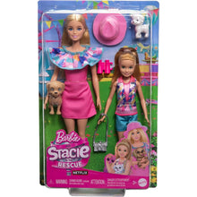 Barbie Family Stacie & Barbie 2-Pack Toy