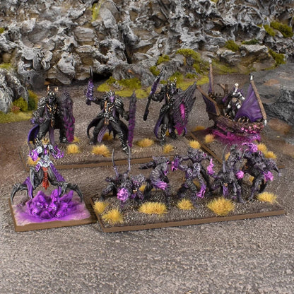 Kings of War Champions La'theal Voidheart Company Box
