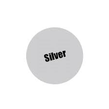 Monument Pro Acryl Silver 22mL