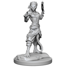 D&D Nolzurs Marvelous Miniatures Shifter Fighter Dungeons & Dragons