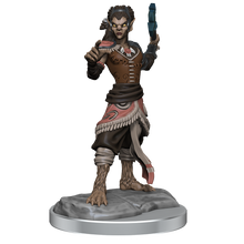 D&D Nolzurs Marvelous Miniatures Shifter Fighter Dungeons & Dragons