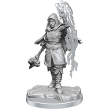 D&D Nolzurs Marvelous Miniatures Half-Elf Warlock Dungeons & Dragons