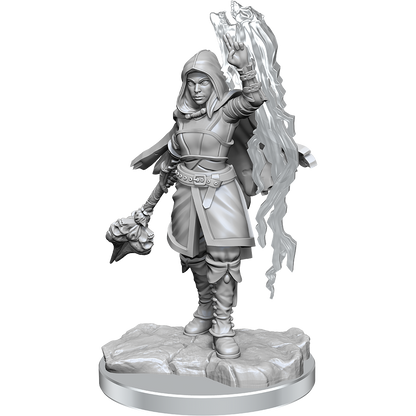D&D Nolzurs Marvelous Miniatures Half-Elf Warlock Dungeons & Dragons