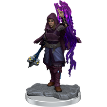 D&D Nolzurs Marvelous Miniatures Half-Elf Warlock Dungeons & Dragons
