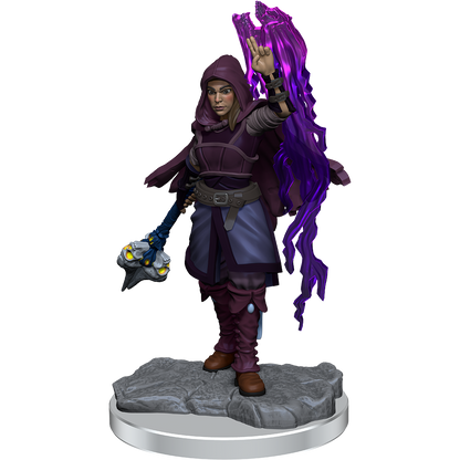 D&D Nolzurs Marvelous Miniatures Half-Elf Warlock Dungeons & Dragons