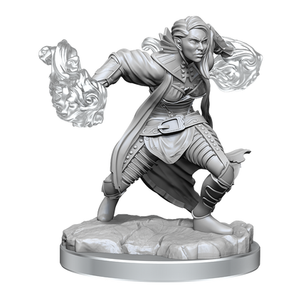 D&D Nolzurs Marvelous Miniatures Half-Elf Warlock Dungeons & Dragons