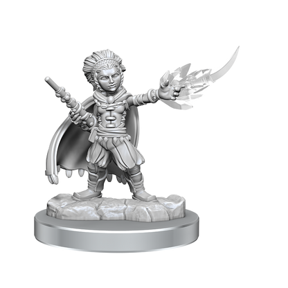 D&D Nolzurs Marvelous Miniatures Halfling Wizards Dungeons & Dragons