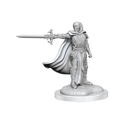 D&D Nolzurs Marvelous Miniatures Death Knights Dungeons & Dragons