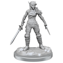 D&D Nolzurs Marvelous Miniatures Elf Rogue & Half-Elf Rogue Protege Dungeons & Dragons