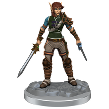 D&D Nolzurs Marvelous Miniatures Elf Rogue & Half-Elf Rogue Protege Dungeons & Dragons