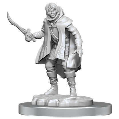 D&D Nolzurs Marvelous Miniatures Elf Rogue & Half-Elf Rogue Protege Dungeons & Dragons