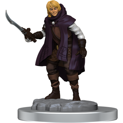 D&D Nolzurs Marvelous Miniatures Elf Rogue & Half-Elf Rogue Protege Dungeons & Dragons