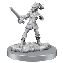 D&D Nolzurs Marvelous Miniatures Quicklings Dungeons & Dragons