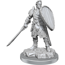 D&D Nolzurs Marvelous Unpainted Miniatures Human Fighters Dungeons & Dragons
