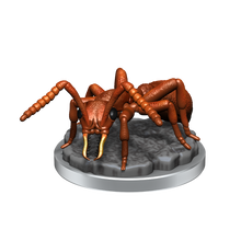 Wizkids Deep Cuts Giant Ants