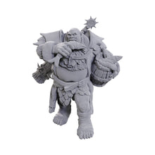 D&D Nolzur's Marvelous Miniatures: Ogre Soldier Dungeons & Dragons
