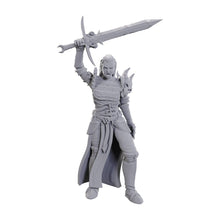 D&D Nolzur's Marvelous Miniatures: Blackguard Dungeons & Dragons