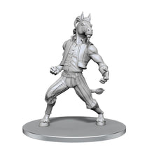 D&D Nolzur's Marvelous Miniatures: Equinal Guardinal Dungeons & Dragons