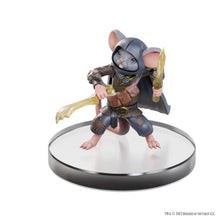 D&D Icons of the Realms: Planescape: Adventures in the Multiverse Character Miniatures Boxed Set Dungeons & Dragons