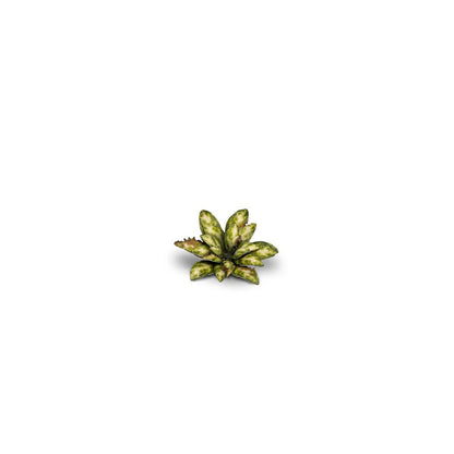 Gamers Grass Laser Plants Dumb Cane
