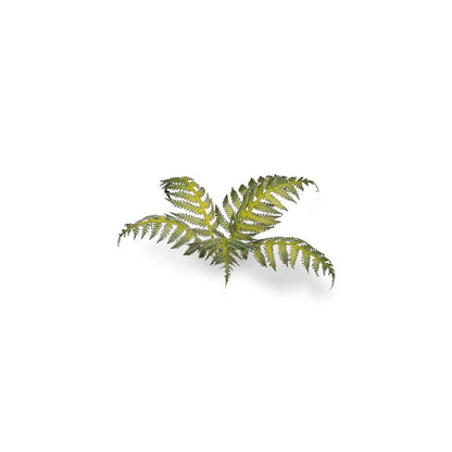 Gamers Grass Laser Plants Bracken
