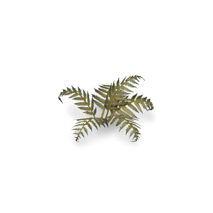 Gamers Grass Laser Plants Bracken