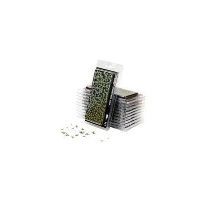 Gamers Grass Laser Plants Plantain Lily