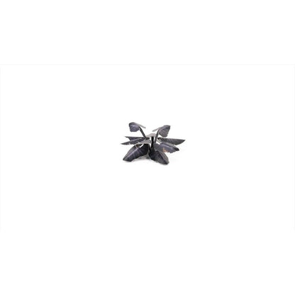 Gamers Grass Laser Plants Black Magic Taro