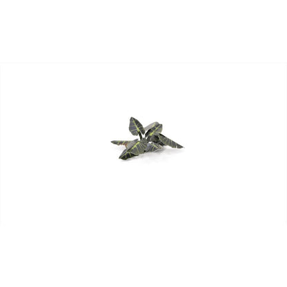 Gamers Grass Laser Plants Black Magic Taro