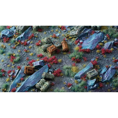 Gamers Grass Grass Tufts Flowers Garnet Tulip Tiny