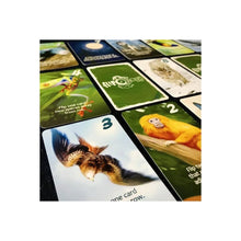 Flipology Board Game