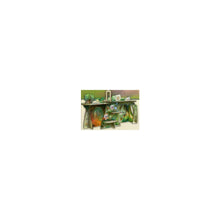 Everdell Emerland Wooden Jungle Ruins Board Game