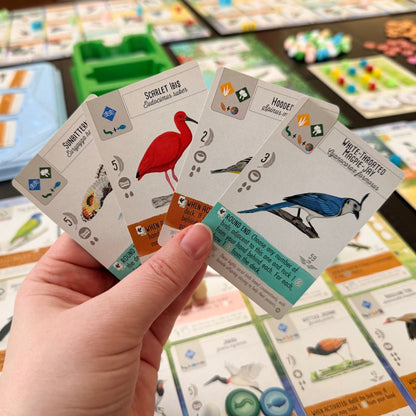 Stonemaier Games Wingspan: Americas Board Game