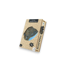 LPG Puzzles Wooden Oceania Animals Series 2 Platypus