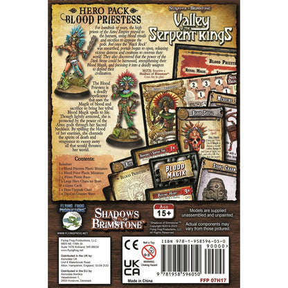 Shadows of Brimstone Hero Pack Blood Priestess