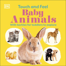 Baby Animals Touch & Feel Book