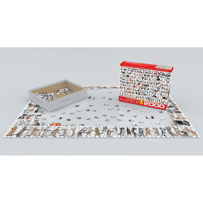 Puzzle The World Of Cats 2000pc