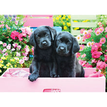 Puzzle Black Labs In Pink Box 500pcXL