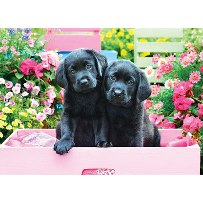 Puzzle Black Labs In Pink Box 500pcXL