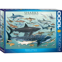 Puzzle Sharks 1000pc