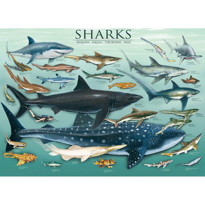Puzzle Sharks 1000pc