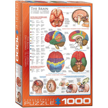 Puzzle The Brain 1000pc