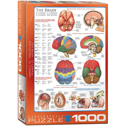 Puzzle The Brain 1000pc