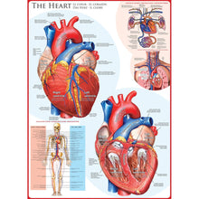 Puzzle The Heart 1000pc
