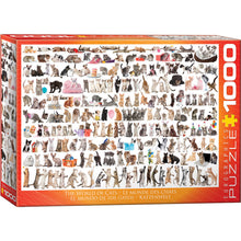 Puzzle World Of Cats 1000pc