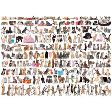 Puzzle World Of Cats 1000pc